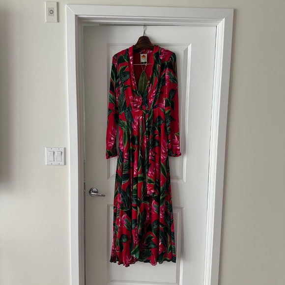 Farm Rio Red Dream Garden Long Sleeve Maxi Dress - Picture 4 of 9
